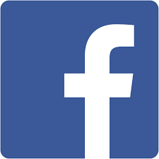 Facebook ico